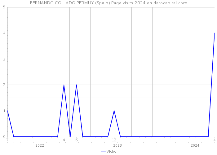 FERNANDO COLLADO PERMUY (Spain) Page visits 2024 