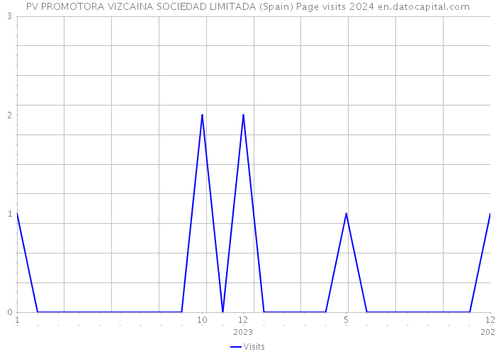 PV PROMOTORA VIZCAINA SOCIEDAD LIMITADA (Spain) Page visits 2024 