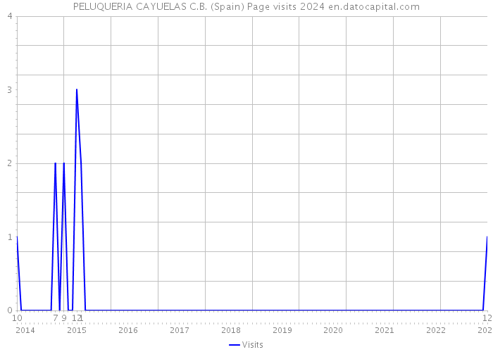 PELUQUERIA CAYUELAS C.B. (Spain) Page visits 2024 