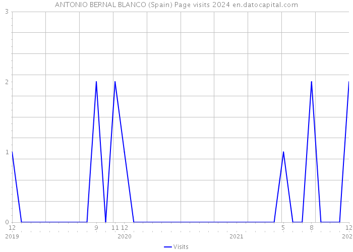 ANTONIO BERNAL BLANCO (Spain) Page visits 2024 