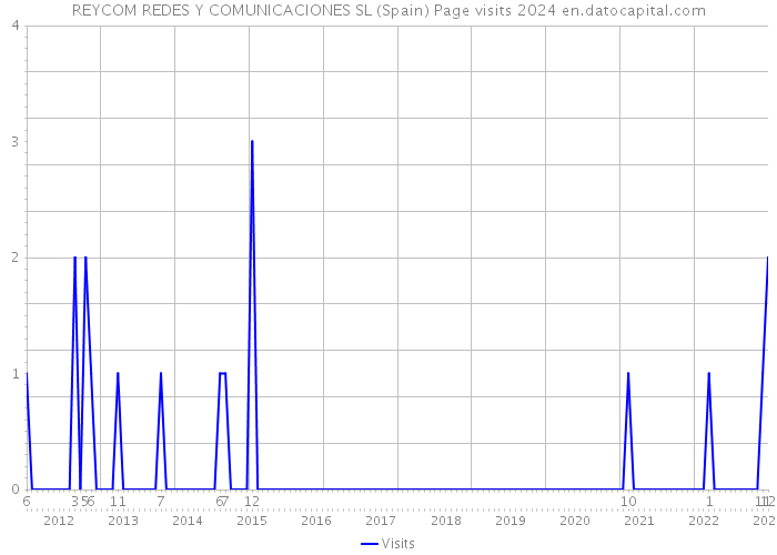 REYCOM REDES Y COMUNICACIONES SL (Spain) Page visits 2024 