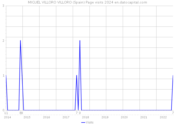 MIGUEL VILLORO VILLORO (Spain) Page visits 2024 