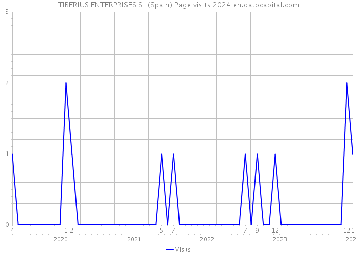 TIBERIUS ENTERPRISES SL (Spain) Page visits 2024 
