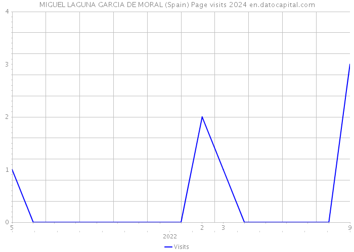 MIGUEL LAGUNA GARCIA DE MORAL (Spain) Page visits 2024 