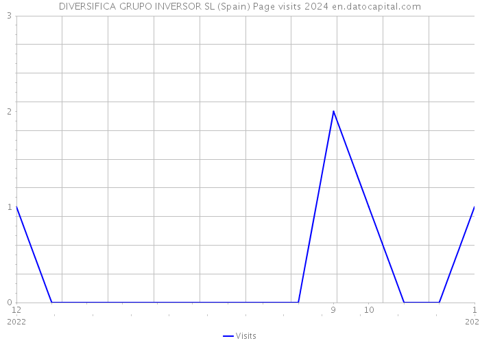DIVERSIFICA GRUPO INVERSOR SL (Spain) Page visits 2024 