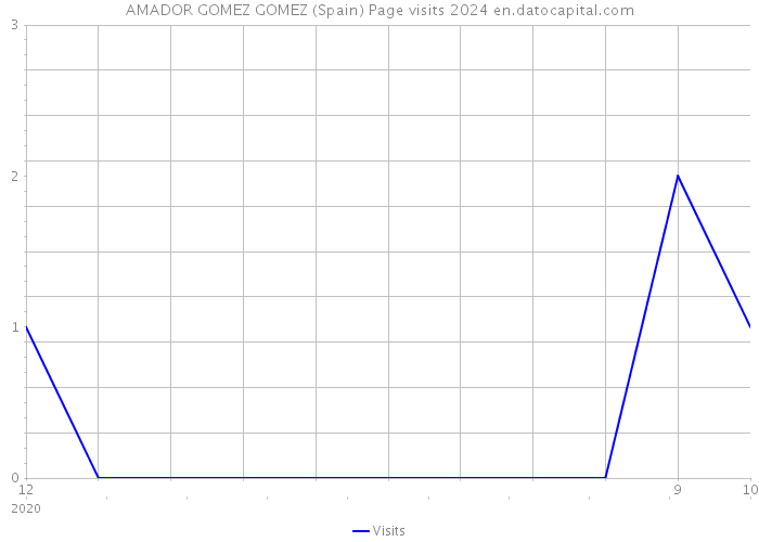 AMADOR GOMEZ GOMEZ (Spain) Page visits 2024 