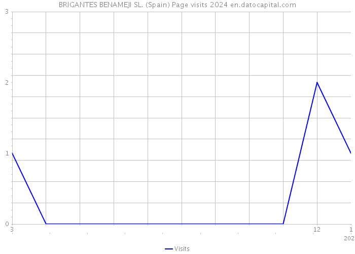 BRIGANTES BENAMEJI SL. (Spain) Page visits 2024 