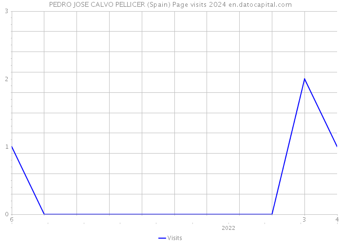 PEDRO JOSE CALVO PELLICER (Spain) Page visits 2024 