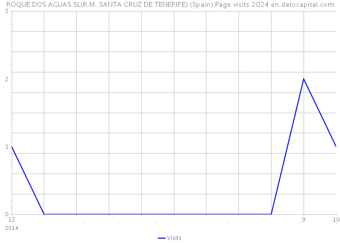 ROQUE DOS AGUAS SL(R.M. SANTA CRUZ DE TENERIFE) (Spain) Page visits 2024 