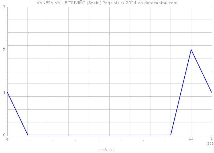VANESA VALLE TRIVIÑO (Spain) Page visits 2024 
