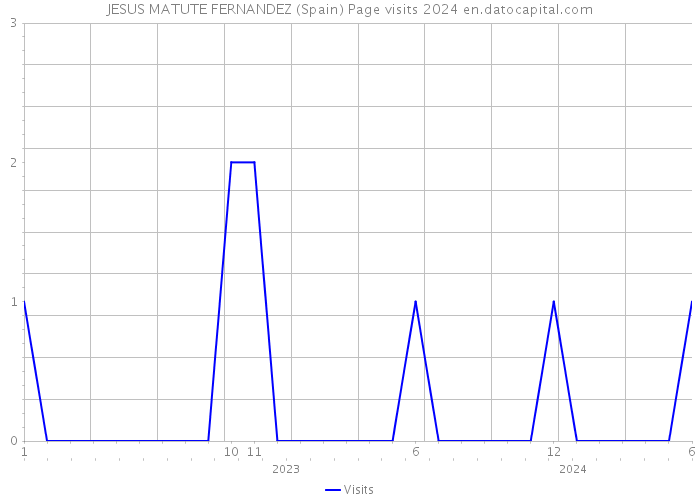 JESUS MATUTE FERNANDEZ (Spain) Page visits 2024 