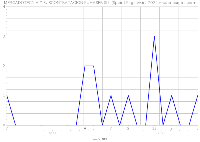 MERCADOTECNIA Y SUBCONTRATACION PUMASER SLL (Spain) Page visits 2024 