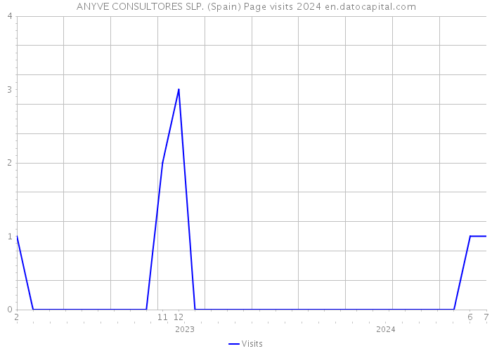 ANYVE CONSULTORES SLP. (Spain) Page visits 2024 