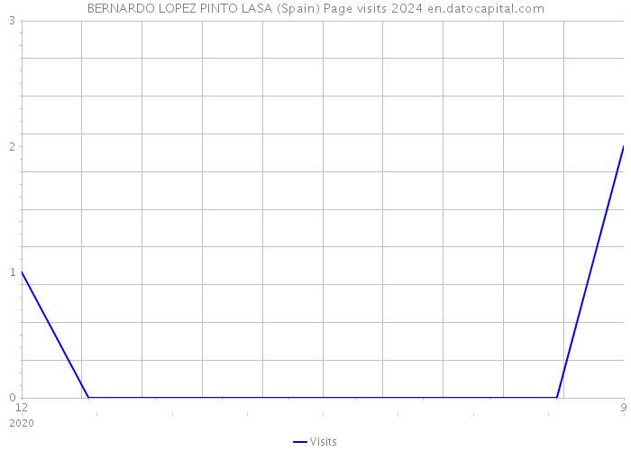 BERNARDO LOPEZ PINTO LASA (Spain) Page visits 2024 