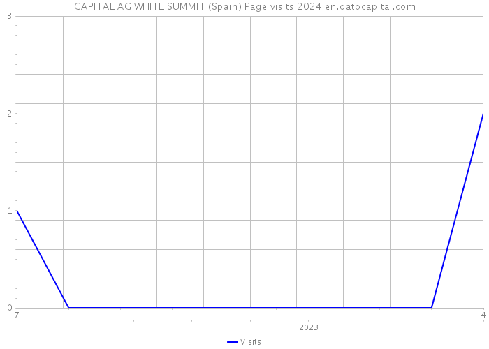 CAPITAL AG WHITE SUMMIT (Spain) Page visits 2024 