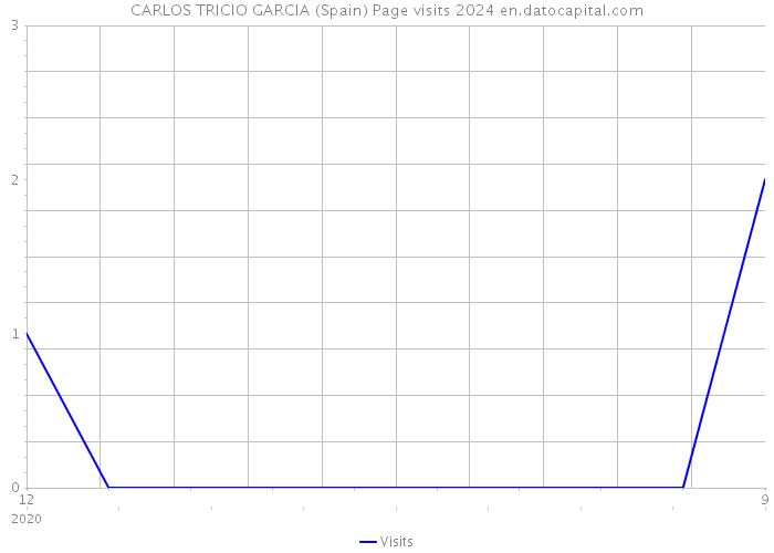 CARLOS TRICIO GARCIA (Spain) Page visits 2024 