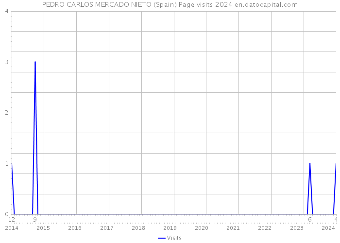 PEDRO CARLOS MERCADO NIETO (Spain) Page visits 2024 