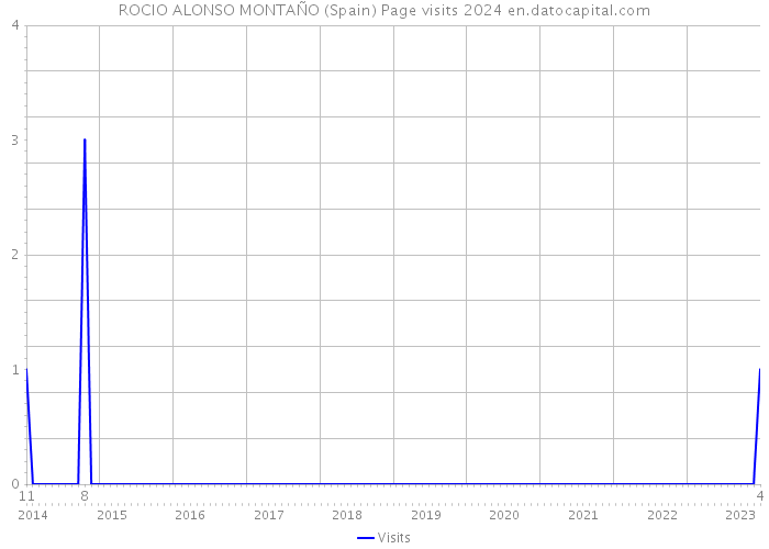 ROCIO ALONSO MONTAÑO (Spain) Page visits 2024 
