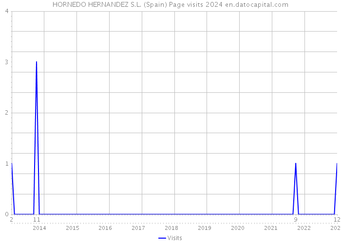 HORNEDO HERNANDEZ S.L. (Spain) Page visits 2024 