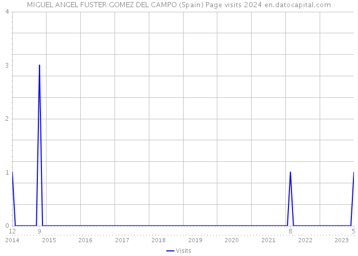 MIGUEL ANGEL FUSTER GOMEZ DEL CAMPO (Spain) Page visits 2024 