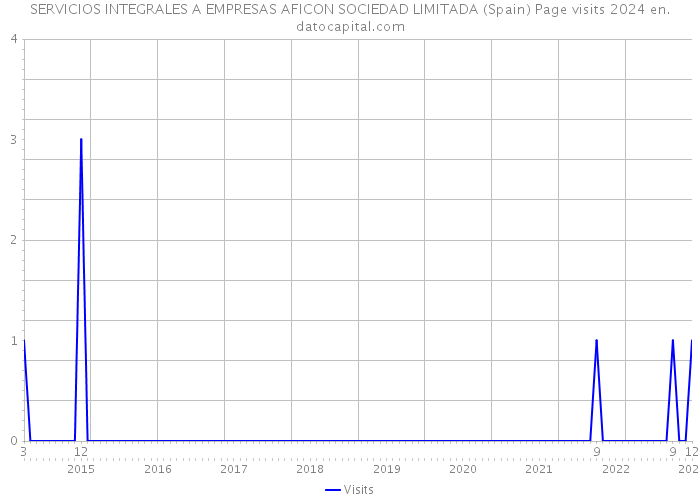 SERVICIOS INTEGRALES A EMPRESAS AFICON SOCIEDAD LIMITADA (Spain) Page visits 2024 