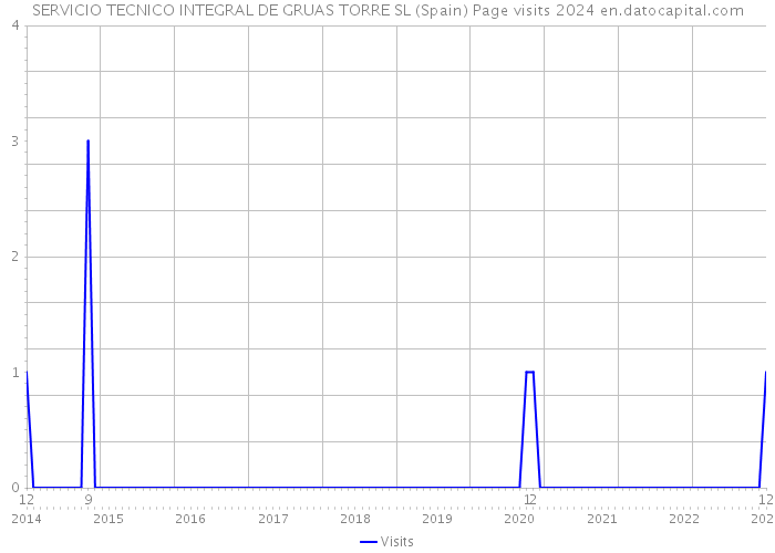 SERVICIO TECNICO INTEGRAL DE GRUAS TORRE SL (Spain) Page visits 2024 