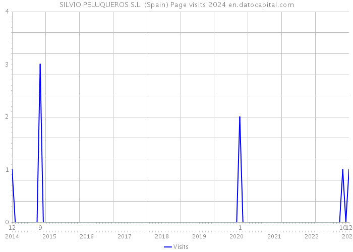 SILVIO PELUQUEROS S.L. (Spain) Page visits 2024 