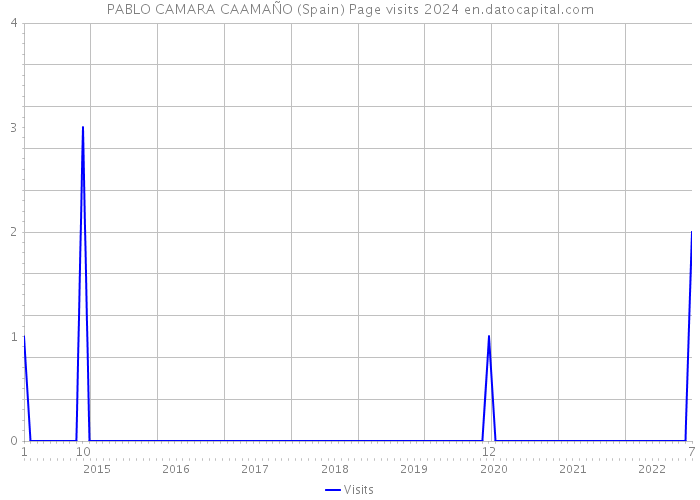 PABLO CAMARA CAAMAÑO (Spain) Page visits 2024 