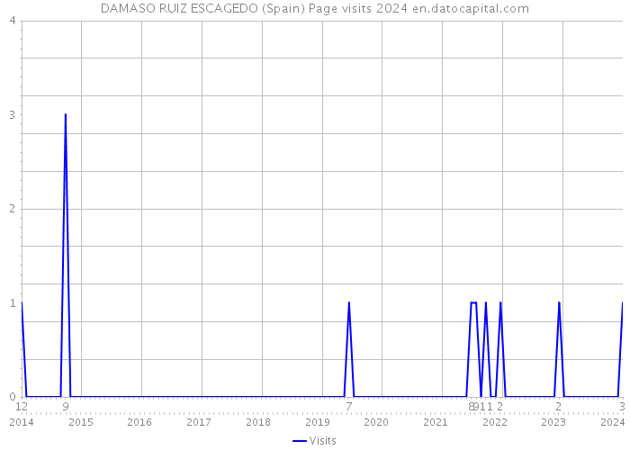 DAMASO RUIZ ESCAGEDO (Spain) Page visits 2024 