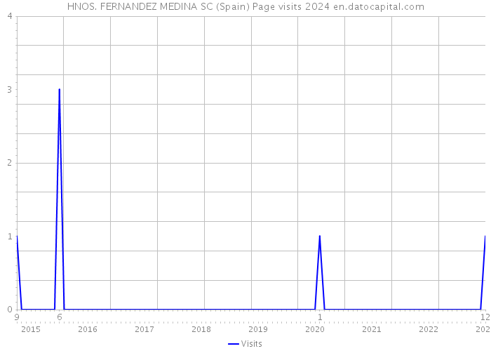 HNOS. FERNANDEZ MEDINA SC (Spain) Page visits 2024 