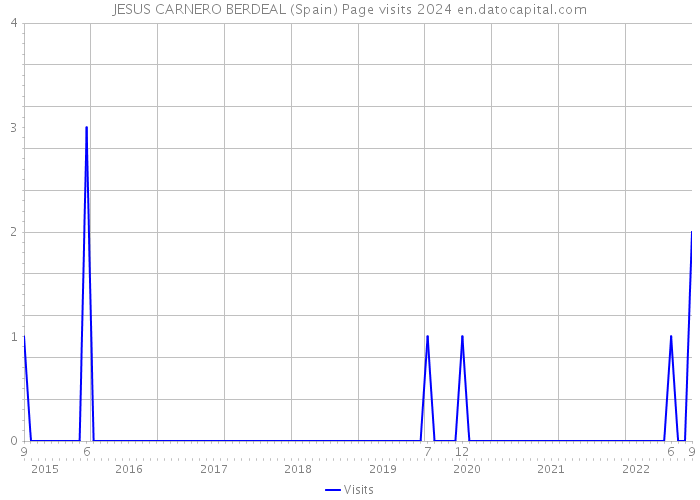JESUS CARNERO BERDEAL (Spain) Page visits 2024 
