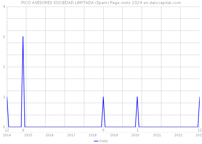 PICO ASESORES SOCIEDAD LIMITADA (Spain) Page visits 2024 