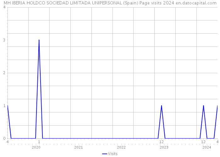 MH IBERIA HOLDCO SOCIEDAD LIMITADA UNIPERSONAL (Spain) Page visits 2024 