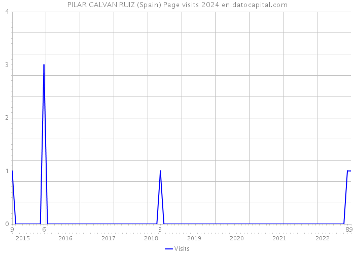 PILAR GALVAN RUIZ (Spain) Page visits 2024 
