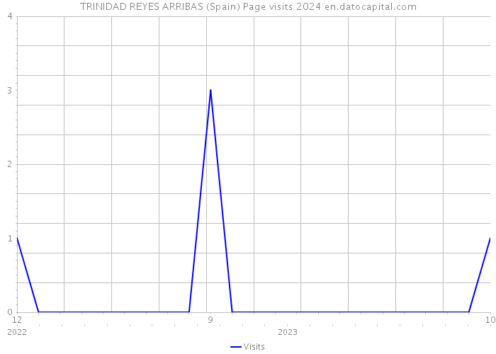 TRINIDAD REYES ARRIBAS (Spain) Page visits 2024 