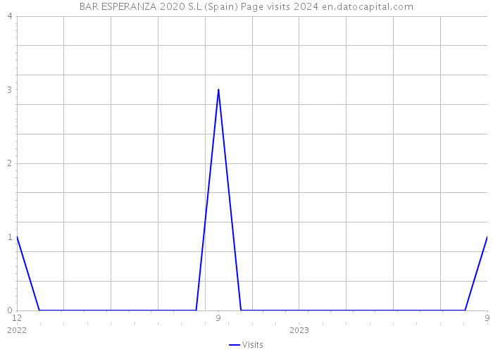 BAR ESPERANZA 2020 S.L (Spain) Page visits 2024 