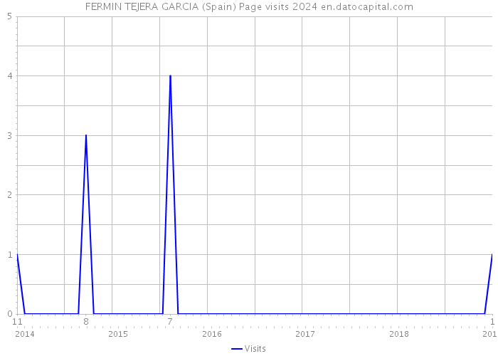 FERMIN TEJERA GARCIA (Spain) Page visits 2024 