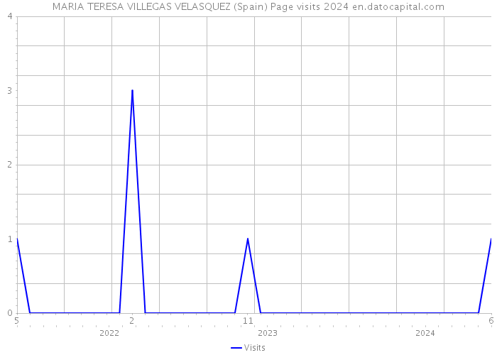 MARIA TERESA VILLEGAS VELASQUEZ (Spain) Page visits 2024 