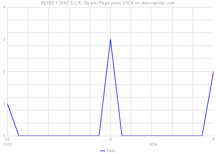 REYES Y DIAZ S.C.P. (Spain) Page visits 2024 