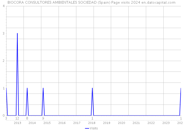 BIOCORA CONSULTORES AMBIENTALES SOCIEDAD (Spain) Page visits 2024 