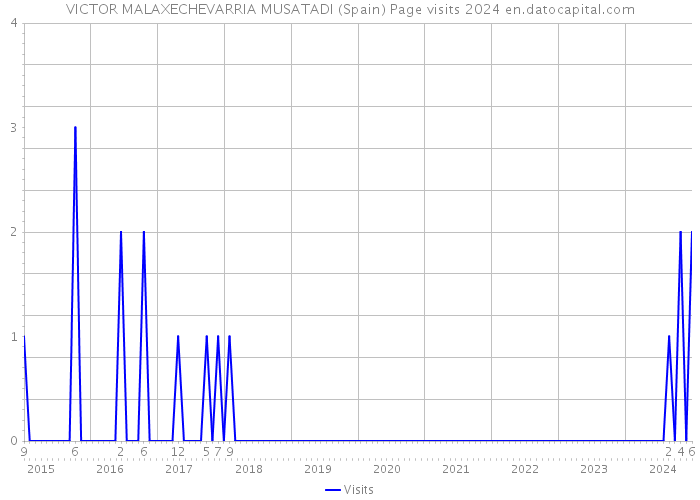 VICTOR MALAXECHEVARRIA MUSATADI (Spain) Page visits 2024 