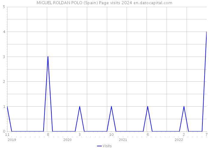 MIGUEL ROLDAN POLO (Spain) Page visits 2024 