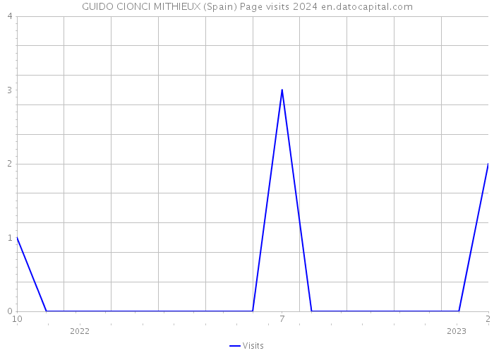 GUIDO CIONCI MITHIEUX (Spain) Page visits 2024 