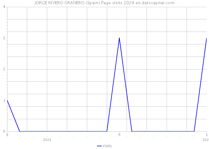 JORGE RIVERO GRANERO (Spain) Page visits 2024 