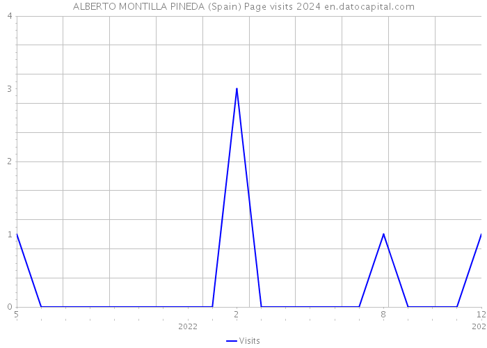 ALBERTO MONTILLA PINEDA (Spain) Page visits 2024 