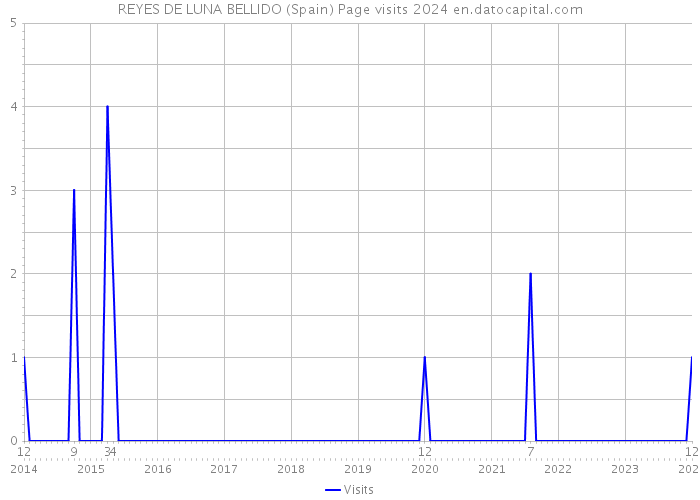 REYES DE LUNA BELLIDO (Spain) Page visits 2024 