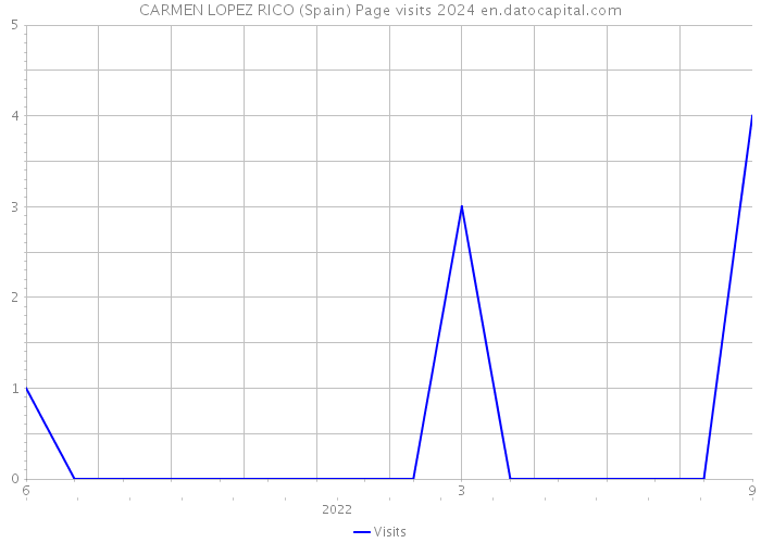 CARMEN LOPEZ RICO (Spain) Page visits 2024 