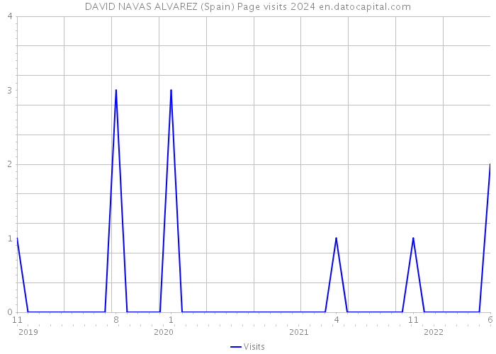 DAVID NAVAS ALVAREZ (Spain) Page visits 2024 