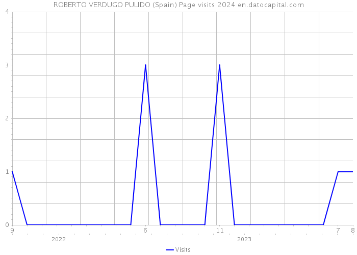 ROBERTO VERDUGO PULIDO (Spain) Page visits 2024 
