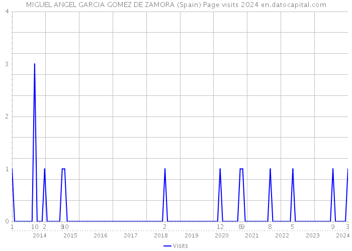 MIGUEL ANGEL GARCIA GOMEZ DE ZAMORA (Spain) Page visits 2024 